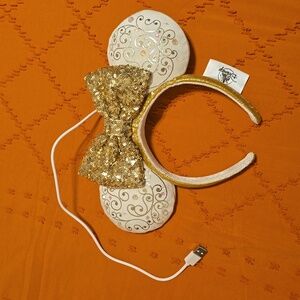 Disney Parks Light up Ears